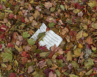 GOOD MORNING, AMERICA